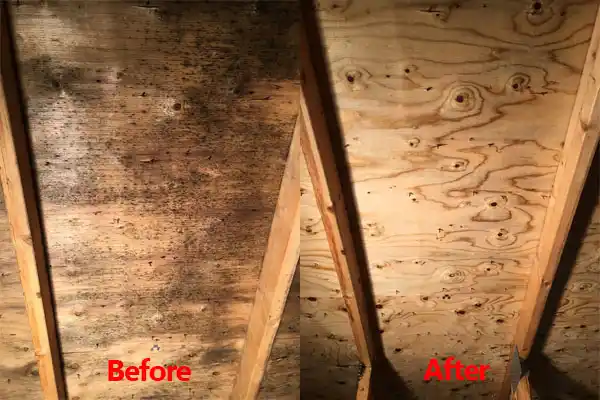 water damage restoration service Northwoods